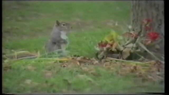 Audio & Video Editing Demo using the Panasonic AVE5 смотреть онлайн