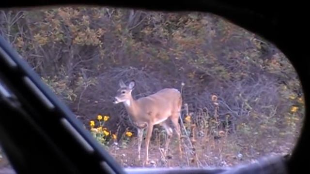 410 slug смотреть онлайн