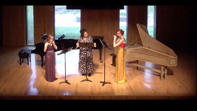 Birds, Part III "The Journey" (Herman Beeftink) for Piccolo, Flute, and Alto Flute смотреть онлайн