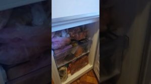 Обзор холодильника beko