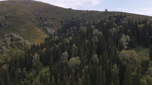 ПОЛЯ, РЕКА И ГОРЫ смотреть онлайн