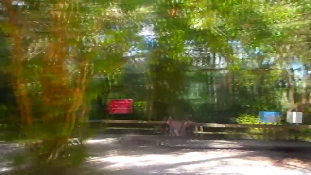 С Машей на источнике Blue Springs Florida USA - фантастика 27.10.2014 смотреть онлайн