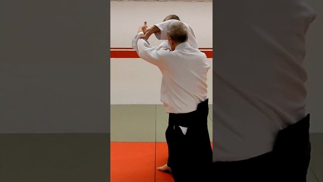 Aikido techniques on KUBISHIME, neck lock, by Stefan Stenudd смотреть онлайн