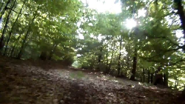 Mit dem Rad durch die Naturwaldzelle смотреть онлайн
