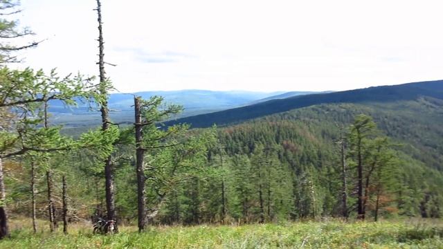 Южный Урал! Тирлян! Судовая гора после пожара!Красивые виды с горы! смотреть онлайн