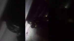 Стиральная машинка Ардо неотжимает одна из причин