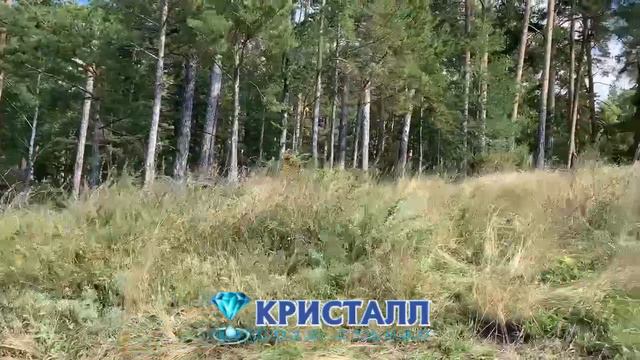 База отдыха "Кристалл" смотреть онлайн