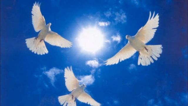 Наталія Шелепницька - Молитва смотреть онлайн