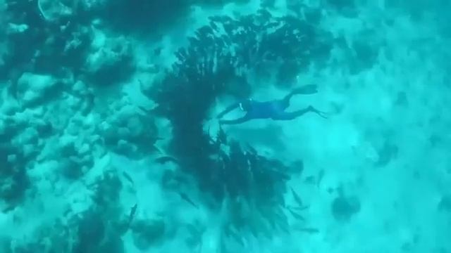 ?МУЗИКА ПО КАЙФУ 2021? ЗАРУБІЖНІ ХІТИ.БЕЗ РЕКЛАМИ СЛУШАТЬ МУЗЫКУ смотреть онлайн