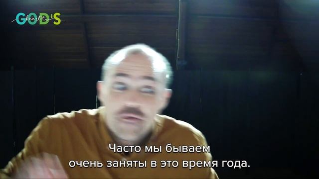 МОЩНАЯ МОЛИТВА О ВСТУПЛЕНИИ В 2023 ГОД!!! | Новогодняя молитва | Брат Криса смотреть онлайн