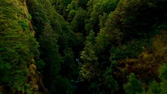 Планета Земля (1080p HD) смотреть онлайн