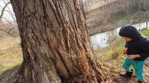 VLOG: Загнали детей домой / Клим потерял второй зуб