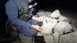 Топ 3 воблера на ночного судака. И супер уловистые проводки на них.