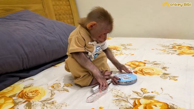 So Funny! Monkey Bibi curiously plays with Mom's makeup смотреть онлайн