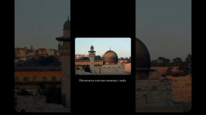 Дуа за Палестину Мухаммад Люхайдан