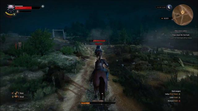 The Witcher 3 White Orchard Pt 06 смотреть онлайн