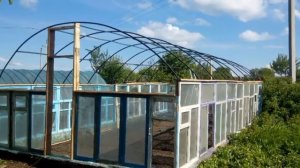 Теплица из старых оконных рам