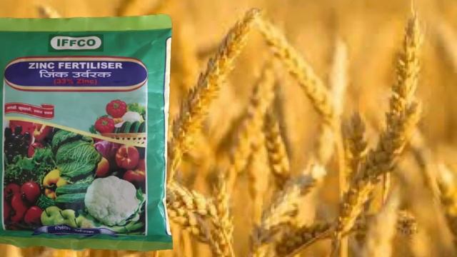 zinc sulphate fertilizer uses in hindi | zinc sulphate 33% fertilizer |FARMERS WING | смотреть онлайн