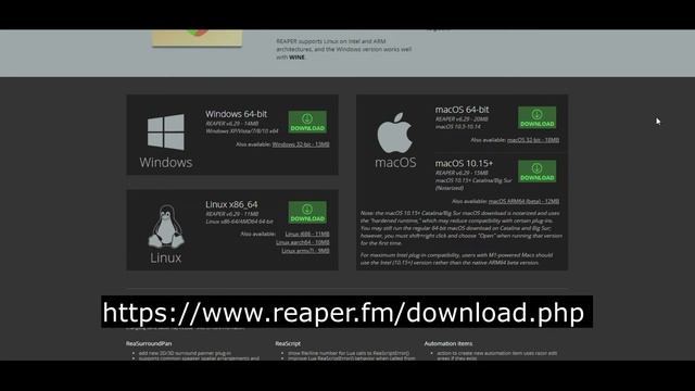 Озвучиваем фильмы в REAPER | Моя домашняя студия | Урок № 1 |