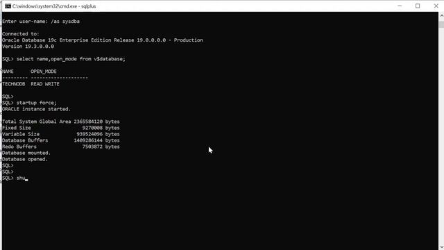 startup and startup force for oracle database смотреть онлайн