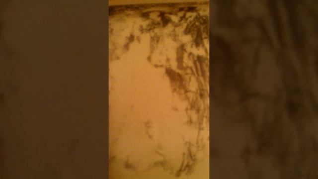 Наталья Пушкина смотреть онлайн