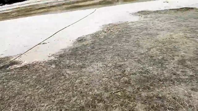 Чистота Океана. Звезды. Морские ежи. смотреть онлайн