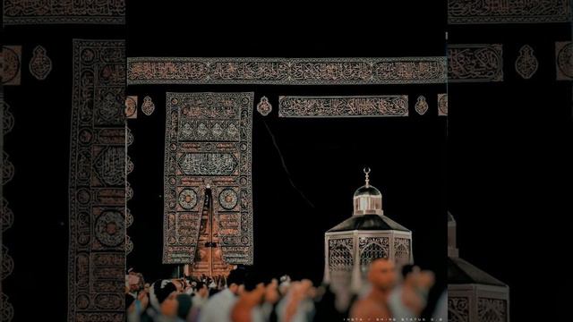 Ho karam sarkar 🕋 || status || New status video|| Islam #whatsappstatus #lofistatus #islamicstatus смотреть онлайн