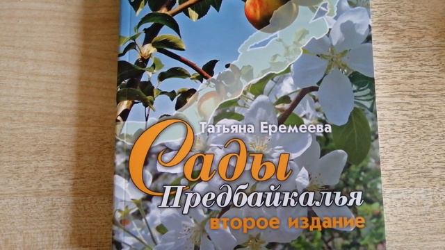 Рассада и саженцы на садовой ярмарке в г. Иркутске 13 мая