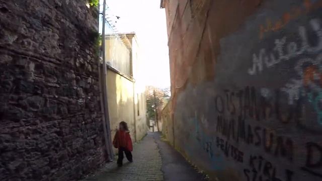 Жаренные каштаны и киски (december` 17) смотреть онлайн