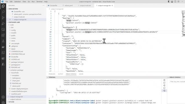Transactable Containers Labs, Lab 1, part 2: Deploying the Containers [GCast 151] смотреть онлайн