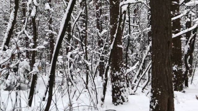 ИСПОЛЬЗОВАЛ ПО НАЗНАЧЕНИЮ И ВЫКИНУЛ. Поучительные жизненные истории. Интересные любовные рассказы.