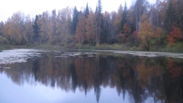 река Бакса смотреть онлайн