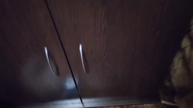 Жизнь красноухих черепах? смотреть онлайн