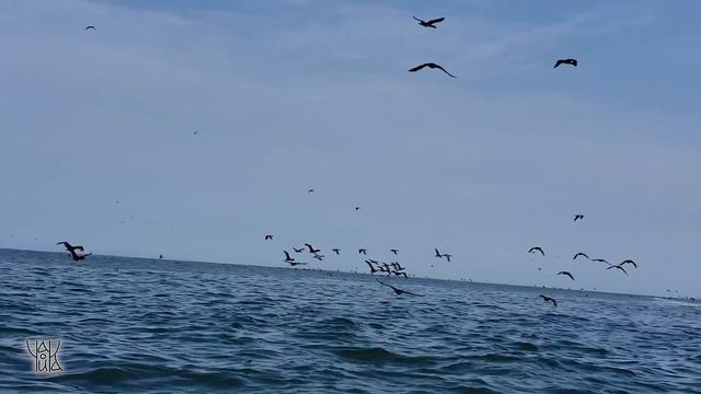 Peru - breath of the ocean | Дыхание океана смотреть онлайн