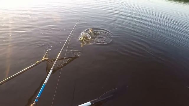 Ловля щуки и окуня на малой реке - Астана 08.07.2017 смотреть онлайн