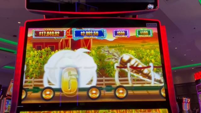 Cash Crop and Cash Express смотреть онлайн