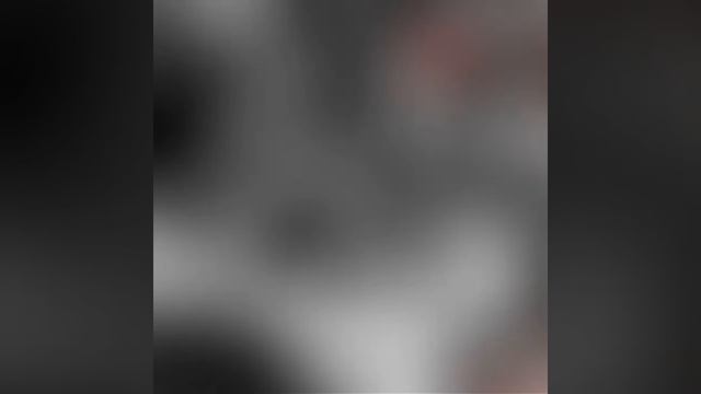 Муай Тай Клуб Гепард смотреть онлайн