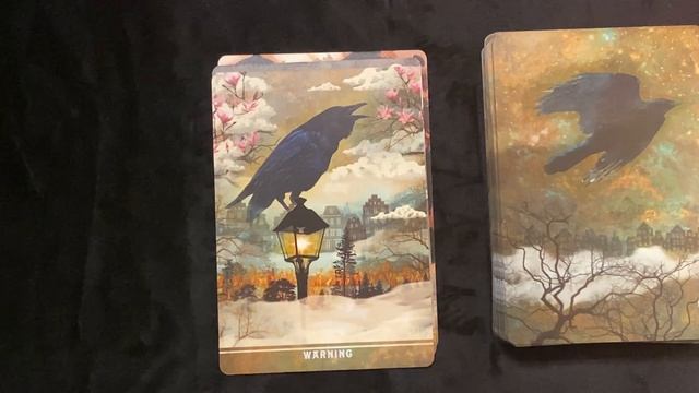 Urban Crow Oracle & Expansion pack by MJ Cullinane Flipthrough. Pick a Card at the end. смотреть онлайн