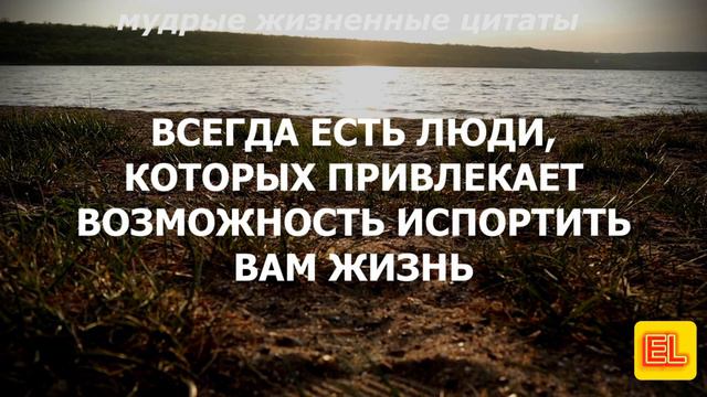 Мудрые цитаты