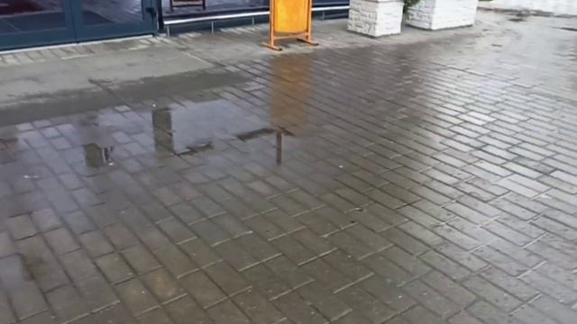 Беларусь | Дети тратят карманные деньги | Купили кучу лекарств | На заправке смотреть онлайн