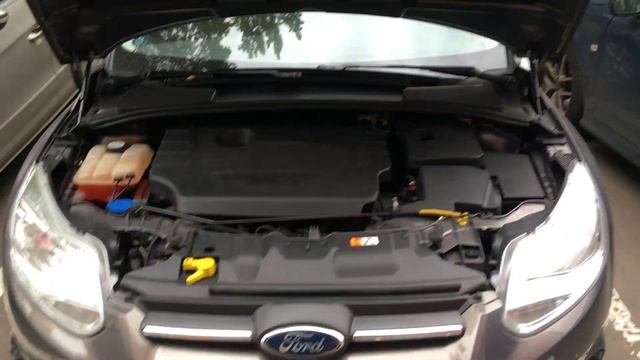 Газовые упоры RIVAL на FOCUS3