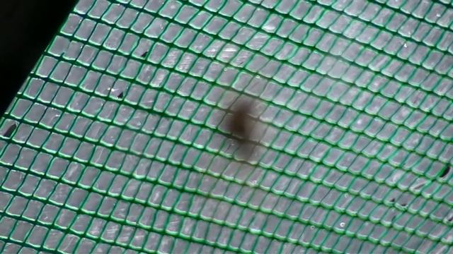 JVC HD 520 TEST смотреть онлайн