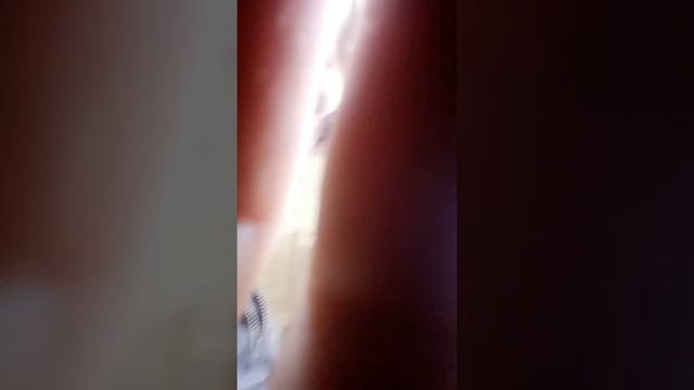 От куда колонки смотреть онлайн