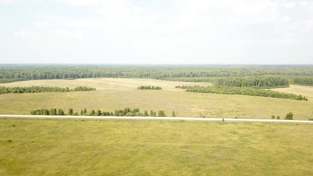 Тюменские боры. ВЕЛИЖАНСКИЙ ТРАКТ. УЧАСТКИ В СОСНОВОМ ЛЕСУ. 100 СОТОК смотреть онлайн