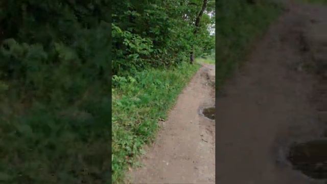 Чебоксары Юго-Западный район велопрогулка в сторону дач смотреть онлайн