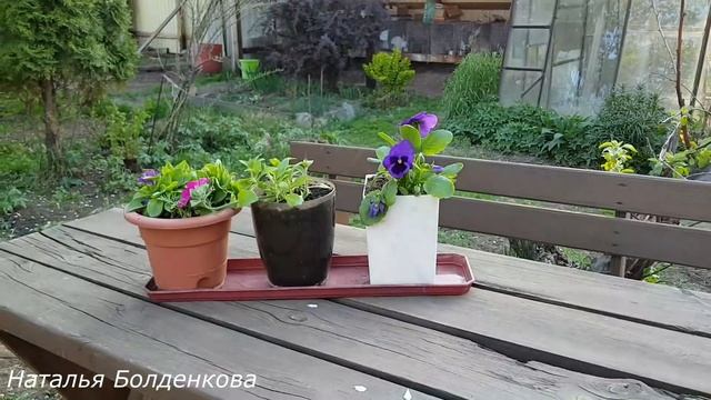 Как разместить грядки,теплицу и баню на участке 6 соток. смотреть онлайн