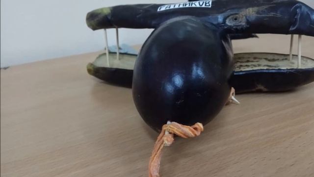 Выставка необычных овощей смотреть онлайн