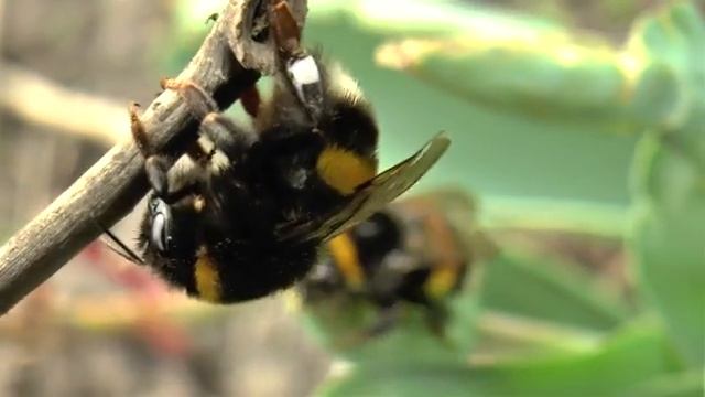 Рецепты для Начинающих