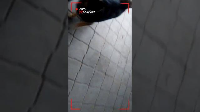 ОГРОМНЫЙ КОРАБЛЬ и прекрасные картины смотреть онлайн