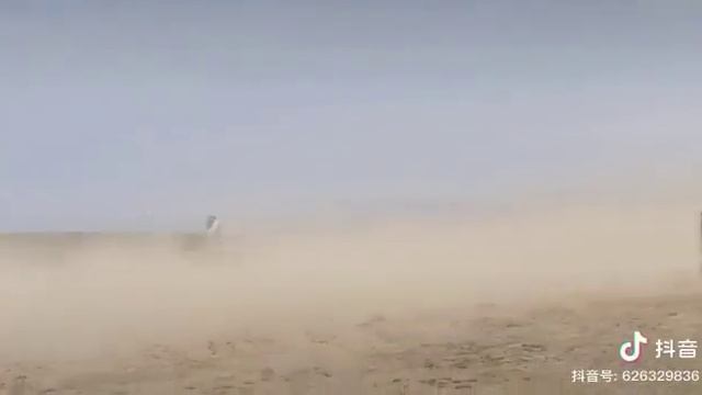 Маленькая девочка выиграла скачки. смотреть онлайн